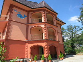 Dobry Kit Guest House